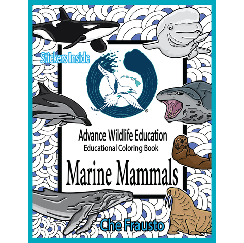 Paradise Clay AWE012 Marine Mammals - Educational Coloring Book