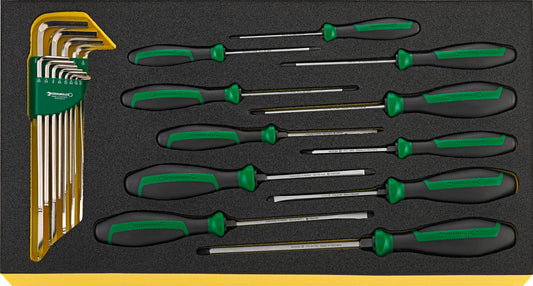 Stahlwille 96830126 TCS WT 4622-4650-1 Screwdriver Set Drall+