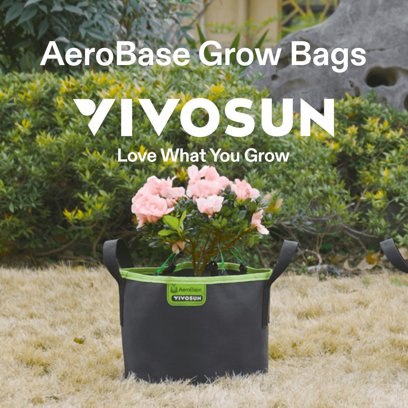 Vivosun 3-Pack 3-Gallon AeroBase Grow Bags, Durable Mesh Fabric Plant Container with Breathable Base and Sturdy Handles, Black