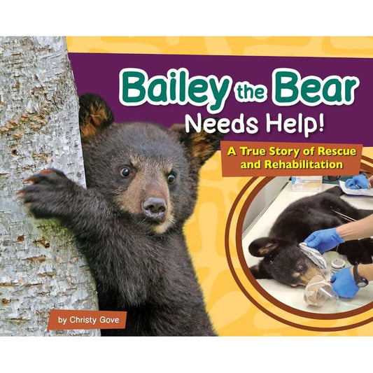 Paradise Clay AVK129 Bailey the Bear Needs Help! - Book