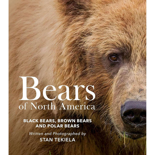 Paradise Clay AVK131 Bears of North America: Black Bears, Brown Bears, and Polar Bears - Book