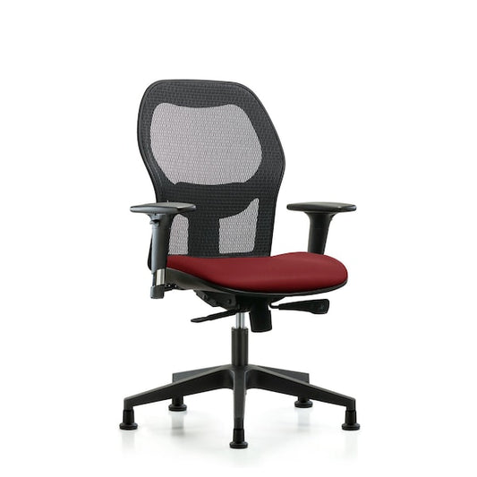 Blue Ridge Ergonomics EXE-VMDHCH-RG-H0-A2-RG-8815 Executive Windova Mesh Back Chair with 3D Adjustable Arms, Borscht Supernova™ Seat, & Stationary Glides