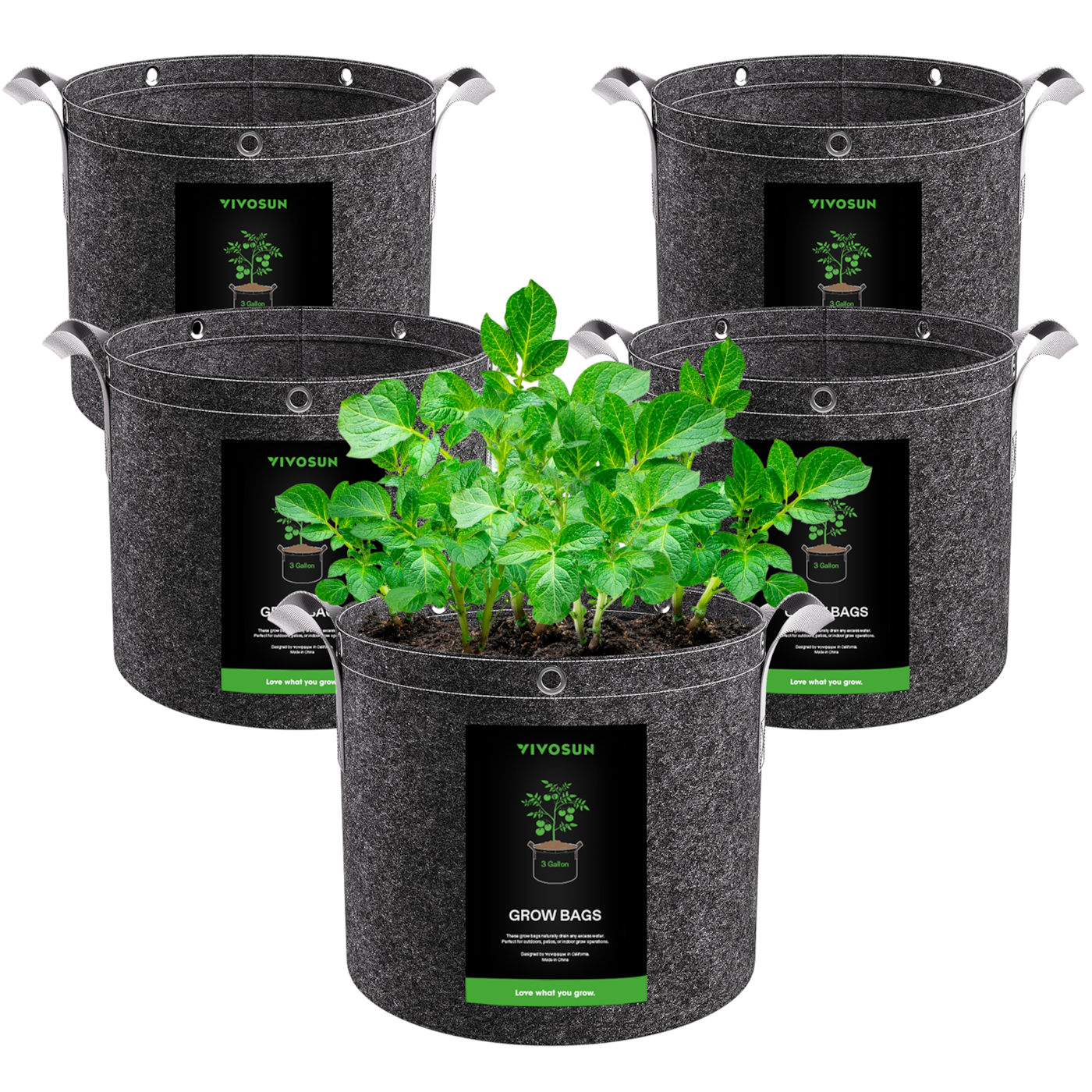 Vivosun 3 Gallon Grow Bags 5-Pack Black Thickened Nonwoven Fabric Pots with Handles, Multi-Purpose Rings