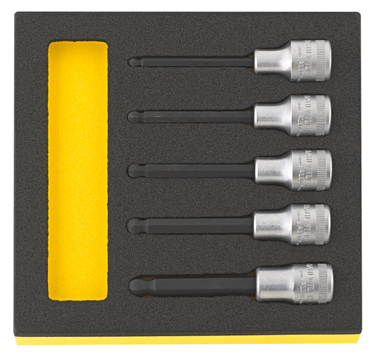 Stahlwille 96838116 TCS 54KK/5 Set Of Inhex Screwdriver Sockets