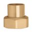 Caleffi NA20769C 1"SWT, 1-1/4" Nut, Washer W/ check valve