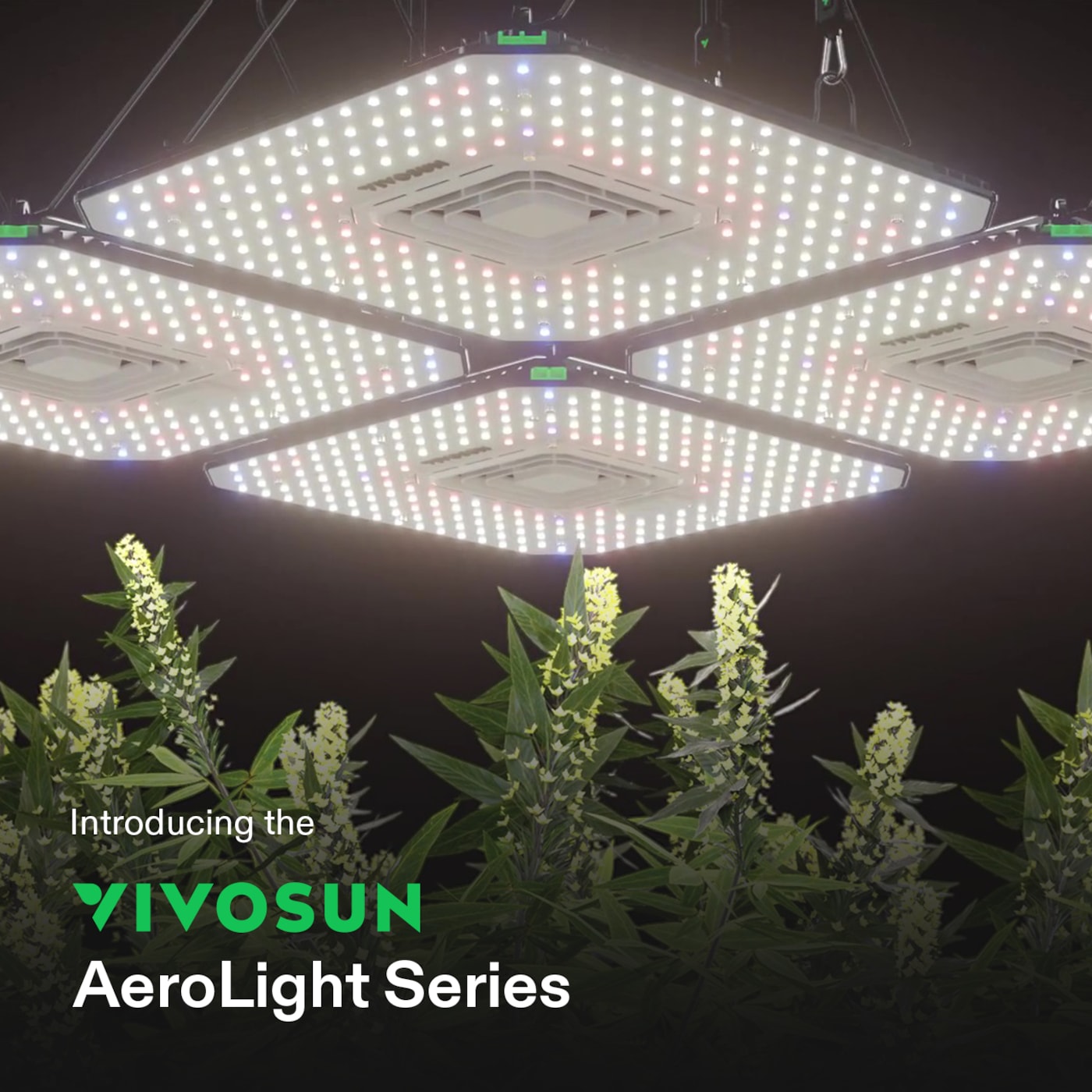 Vivosun 4 Pack AeroLight A100 Tunable Spectrum LED Grow Light 100W, with Integrated Circulation Fan, Compatible with APP, 4 x 4 Ft. Coverage
