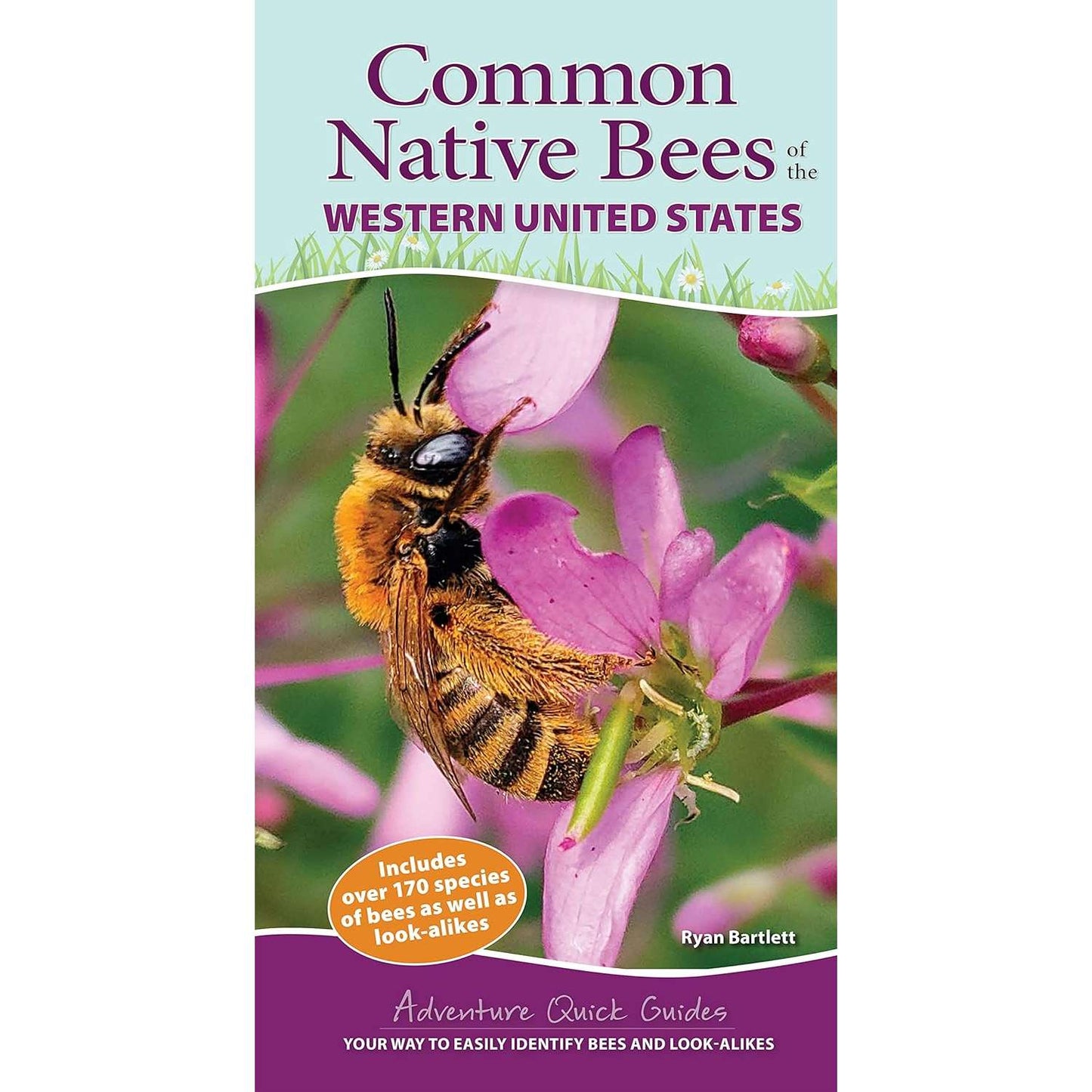 Paradise Clay AVK127 Common Native Bees of the Western United States - Book