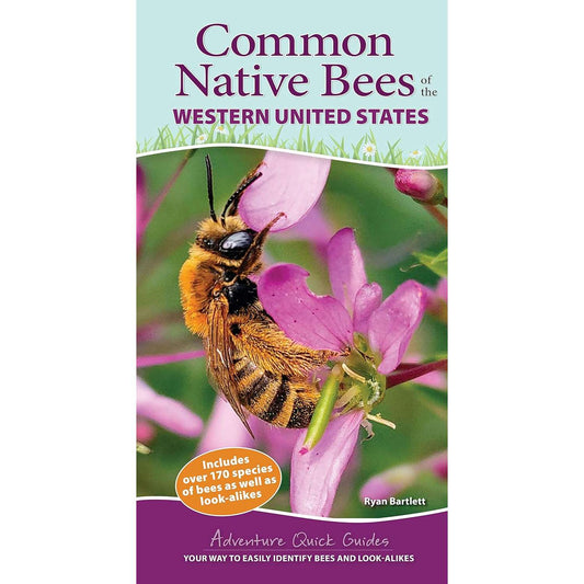 Paradise Clay AVK127 Common Native Bees of the Western United States - Book