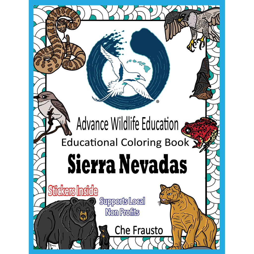 Paradise Clay AWE009 Sierra Nevadas - Educational Coloring Book