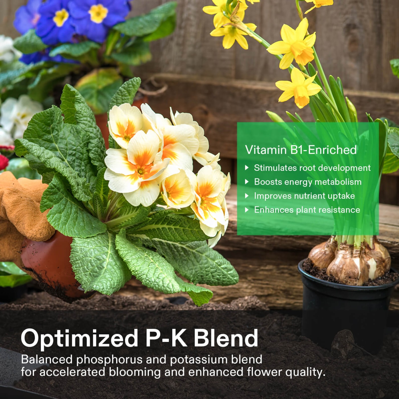 Vivosun Bloom Juice (0-6-4), Flowering Supplement Liquid Fertilizer for Flowering Stage, 32 Ounces
