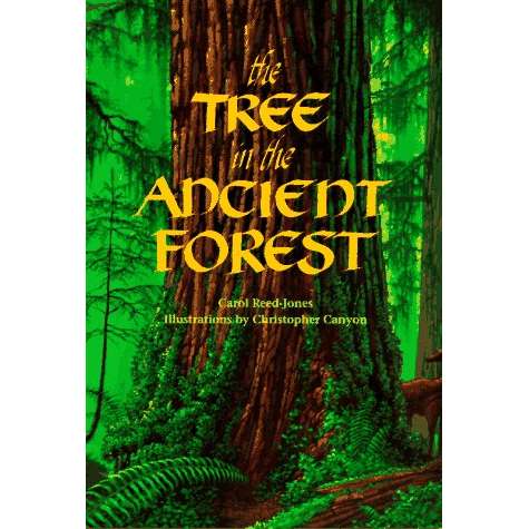 Paradise Clay DAW011 The Tree in the Ancient Forest - Book