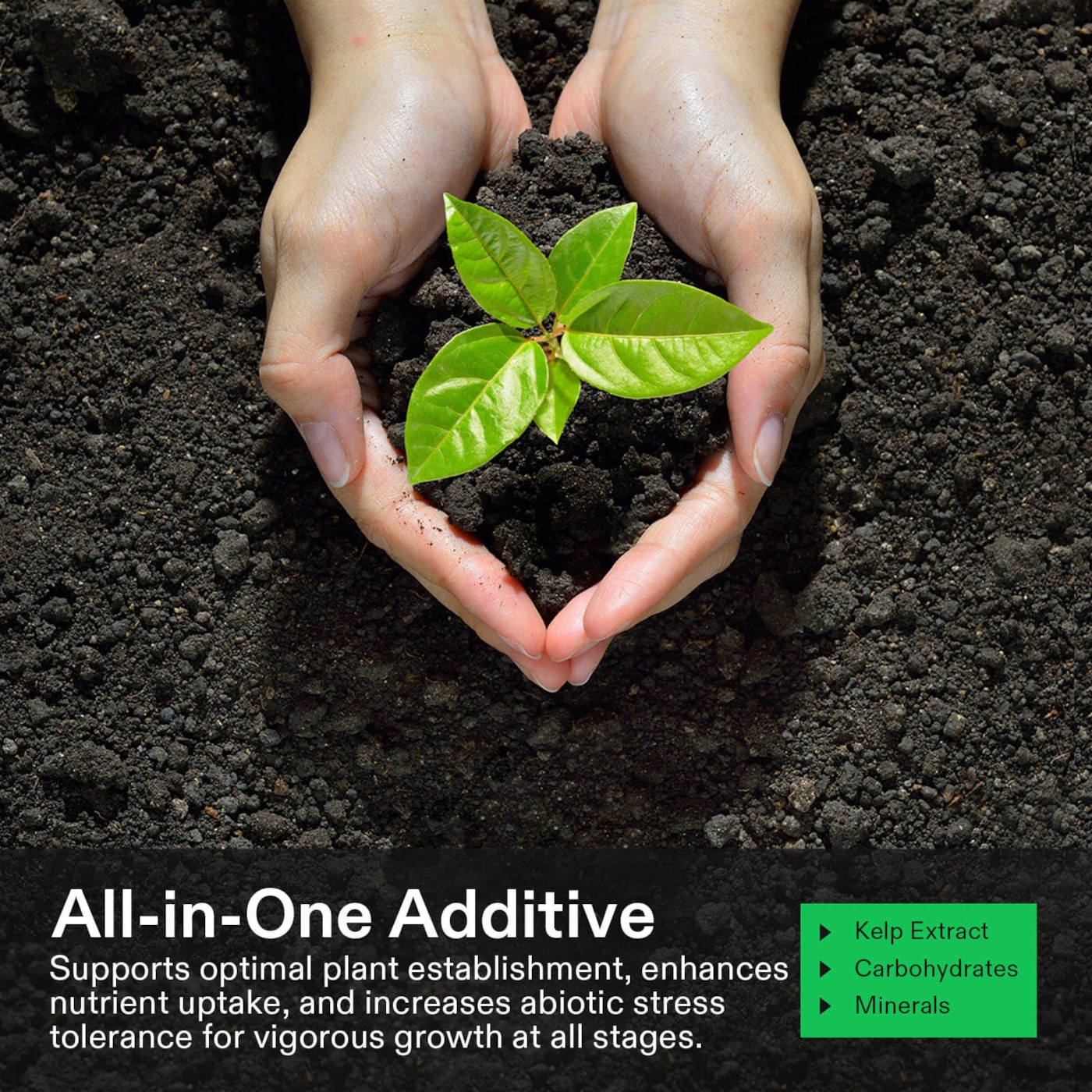 Vivosun NutriBoost (0-0-1), All-Purpose Liquid Fertilizer for All Growing Stages, 8oz