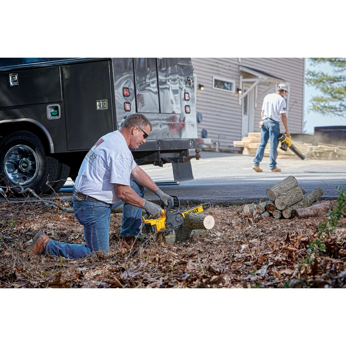 Dewalt DCCS620P1 20V Max* Xr Compact 12 In. Cordless Chainsaw Kit