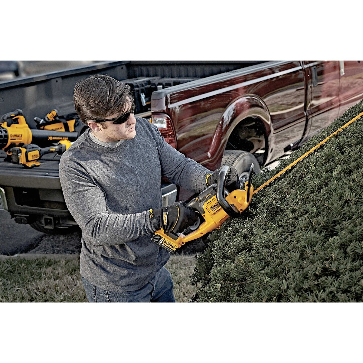 Dewalt DCHT820P1 20V Max* Lithium Ion Hedge Trimmer (5.0Ah)