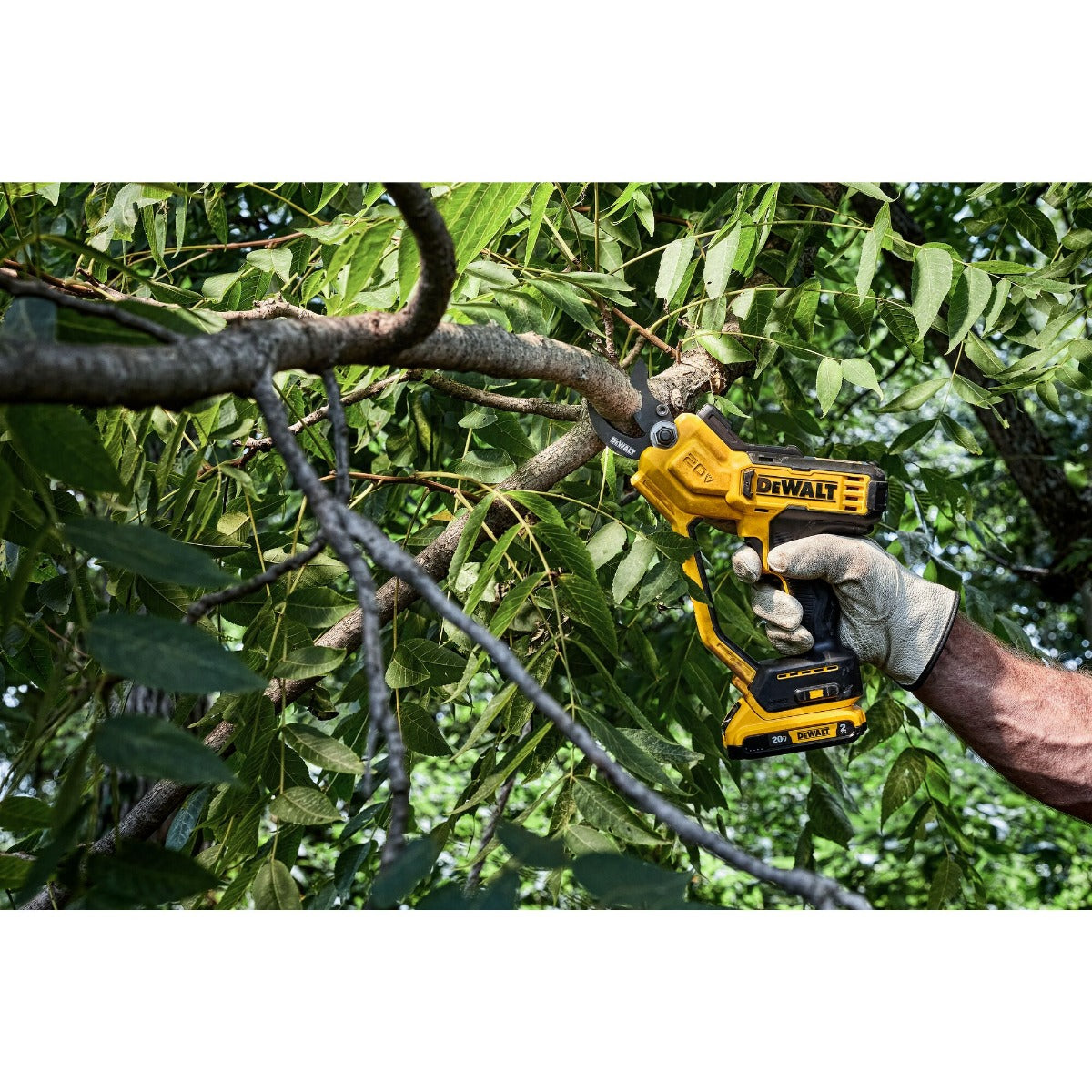 Dewalt DCPR320B 20V Max* 1-1/2 In Cordless Pruner (Tool Only)