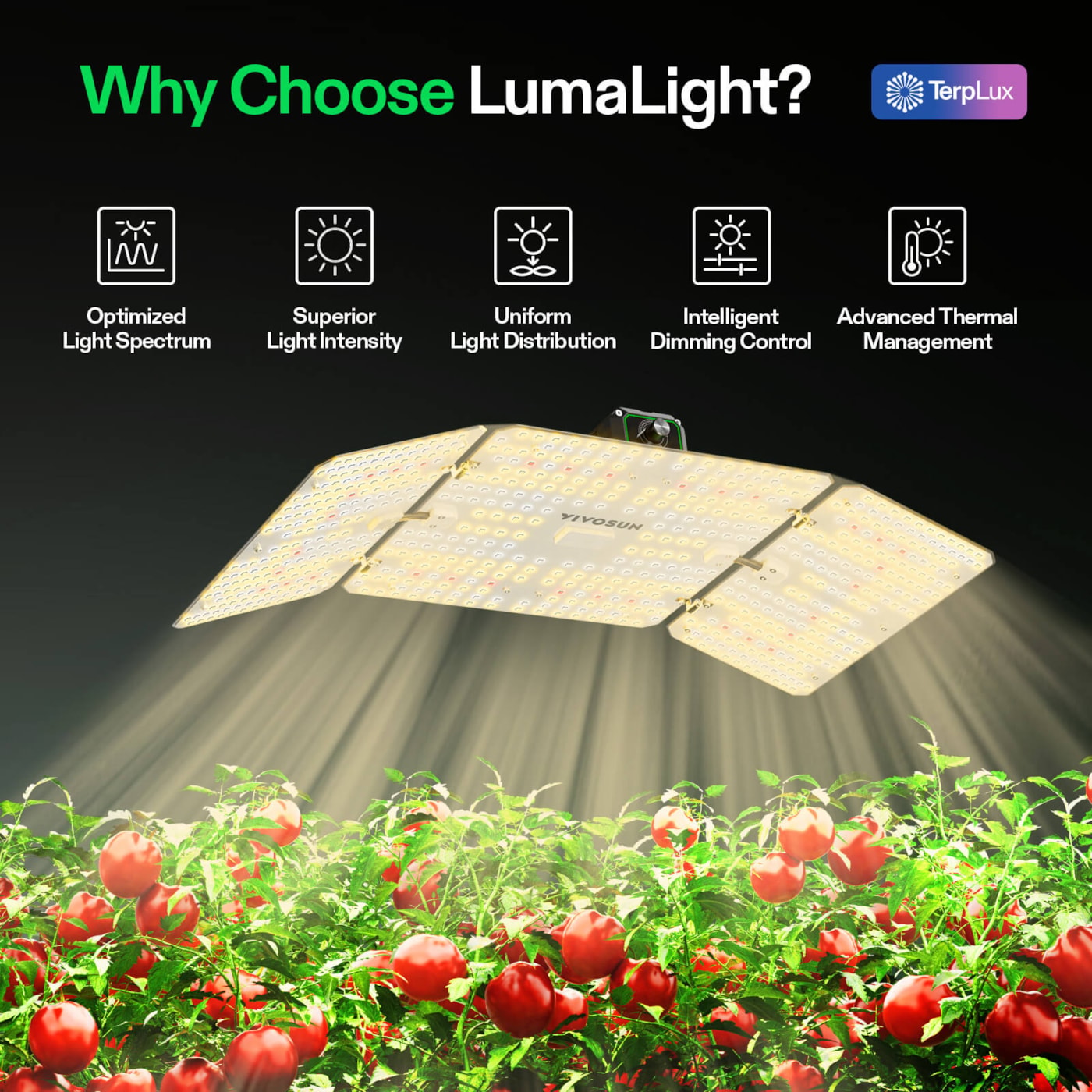 Vivosun LumaLight LED Grow Light, Full Spectrum Plant Light, 200W Smart Dimmable & High PPFD for Indoor Plants Seedling Vegetables Bloom