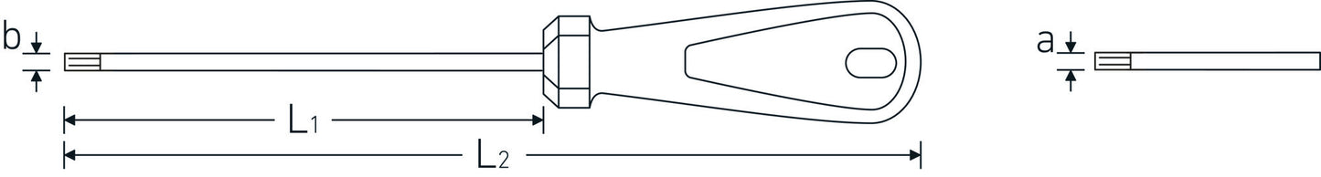 Stahlwille 48560020 4856 T20 TORX-SCHRAUBENDR.M.BOHRUNG/M.DREIKOMPONENTENGRIFF Torx® Bo Screwdriver 3K Drall®