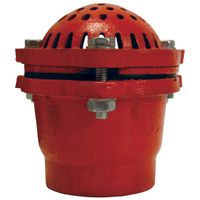 DIXON VALVE DFVS25 2 Foot Valve Painted