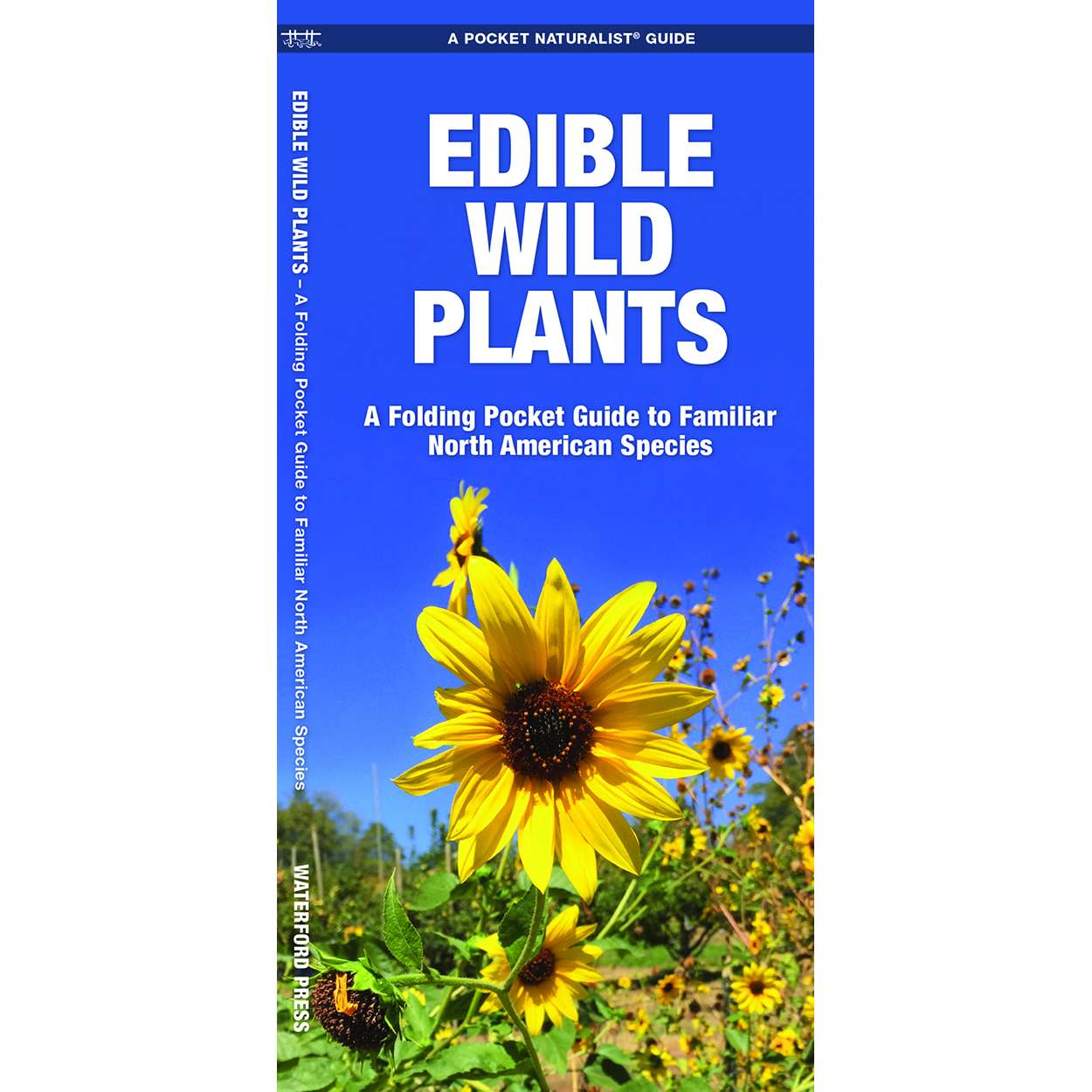 Paradise Clay WFP054 Edible Wild Plants - Folding Pocket Guide