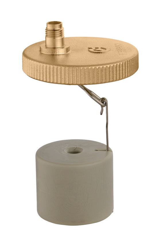 Caleffi F39807 Float Mechanism & Cap for brass Discal