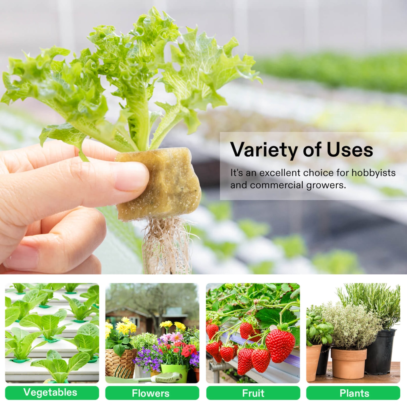 Vivosun 1" Rockwool Grow Cubes, 4 Sheets of 200 Plugs