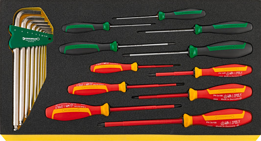 Stahlwille 96830129 TCS WT 4650-4665-1 Screwdriver Set Drall+