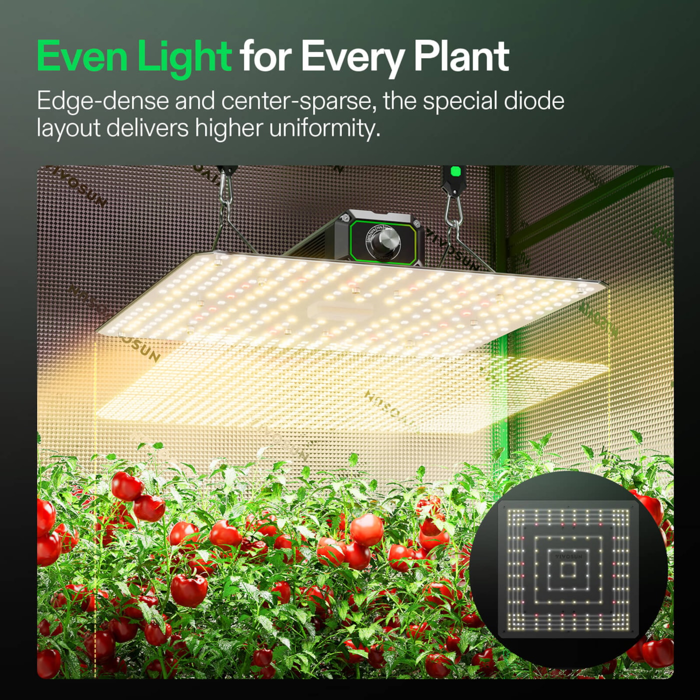Vivosun LumaLight LED Grow Light, Full Spectrum Plant Light, 100W Smart Dimmable & High PPFD for Indoor Plants Seedling Vegetables Bloom