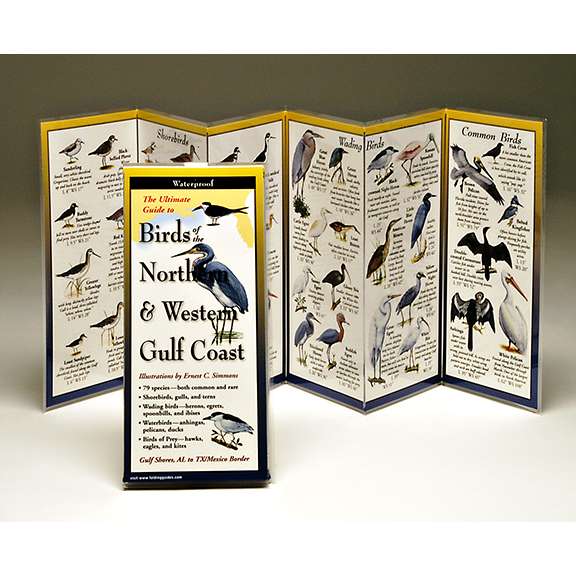Paradise Clay FGG019 Birds of the Northern & Western Gulf Coast - Folding Guide