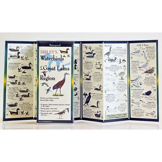 Paradise Clay FGG035 Sibley's Waterbirds of the Great Lakes - Folding Guide