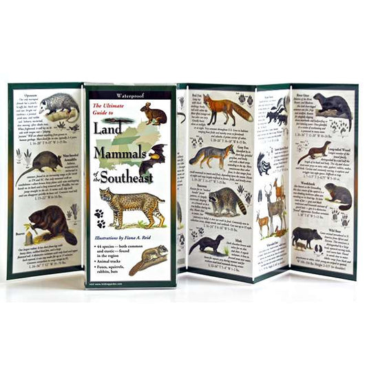 Paradise Clay FGG064 Land Mammals of the Southeast - Folding Guide