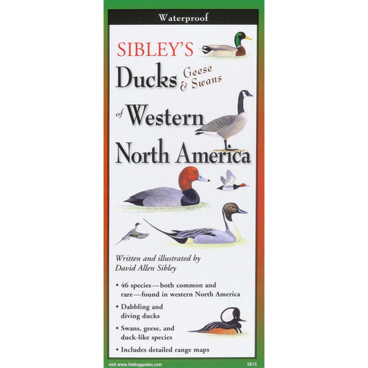 Paradise Clay FGG082 Sibley's Ducks, Geese,& Swans of Western N.A. - Folding Pocket Guide