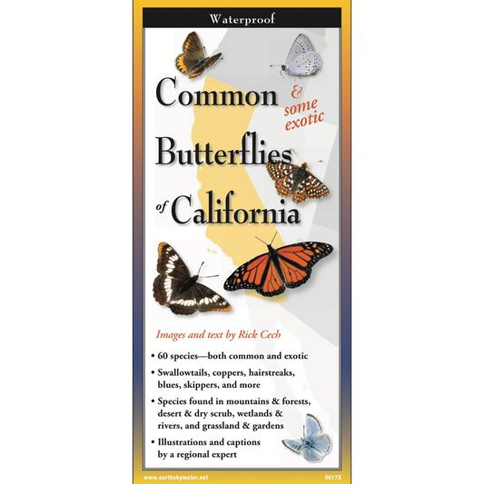 Paradise Clay FGG092 Common Butterflies of California - Folding Pocket Guide