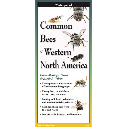 Paradise Clay FGG098 Common Bees of Western North America - Folding Pocket Guide