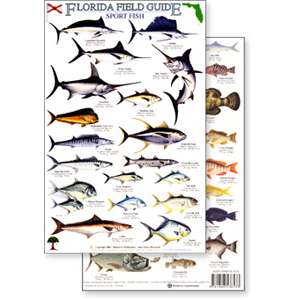 Paradise Clay RFP011 Florida Sport Fish Field Guide - Laminated Card