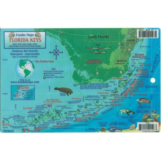 Paradise Clay FRM005 Turks & Caicos Dive Map & Reef Creatures Guide LAMINATED CARD