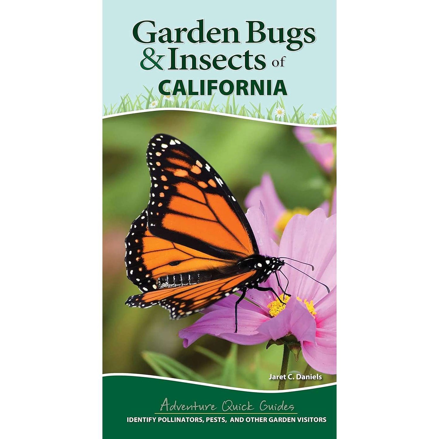 Paradise Clay AVK134 Garden Bugs & Insects of California: Identify Pollinators, Pests, and Other Garden Visitors - Book