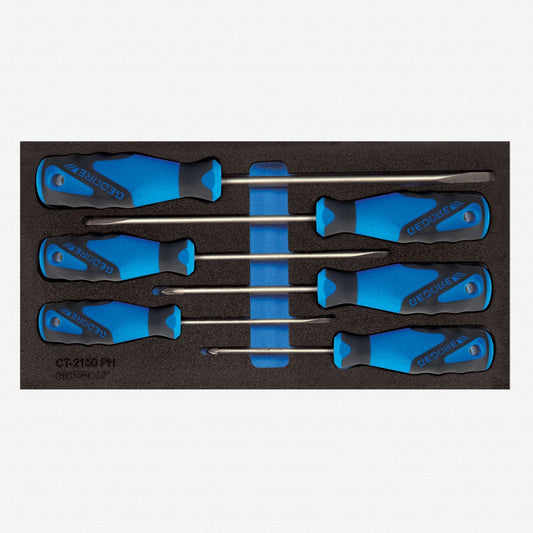 Gedore 2309149 1500 CT1-2150 Pozidriv and Slotted Screwdiver Set in 1/3 CT Module