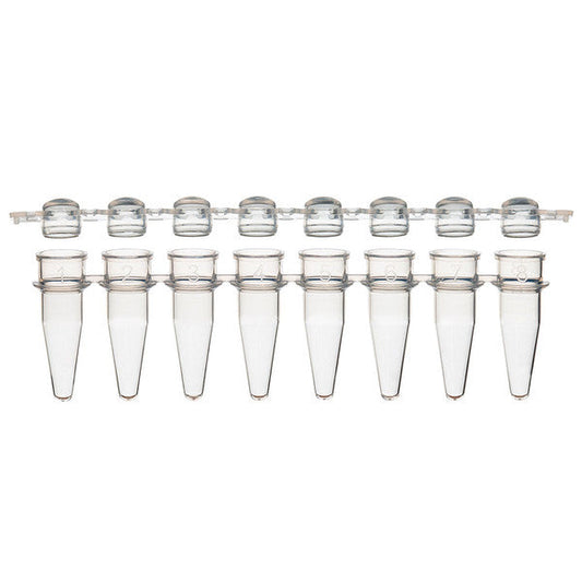 Globe Scientific PCR-STR-02D-12 0.2mL 12-Strip Tubes with Separate 12-Strip clear Dome caps Natural