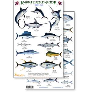 Paradise Clay RFP015 Hawaii Sport Fish Guide - Laminated Card
