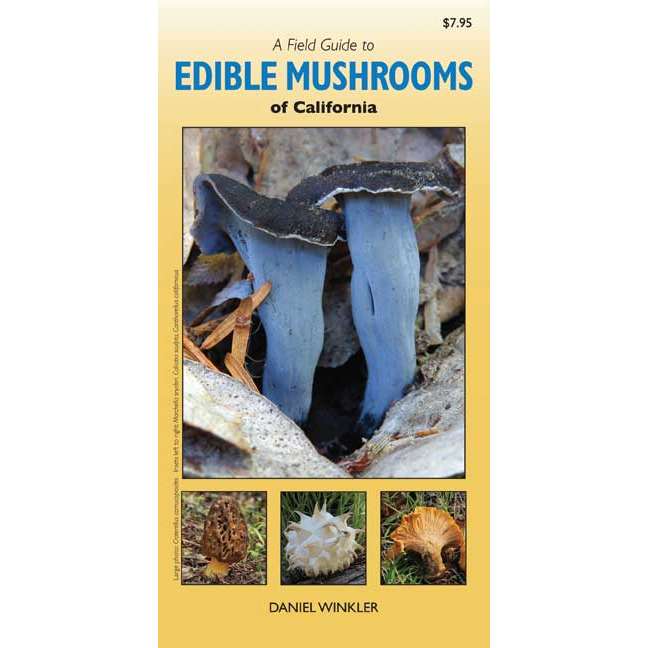 Paradise Clay HPC142 A Field Guide to Edible Mushrooms of California - Folding Pocket Guide