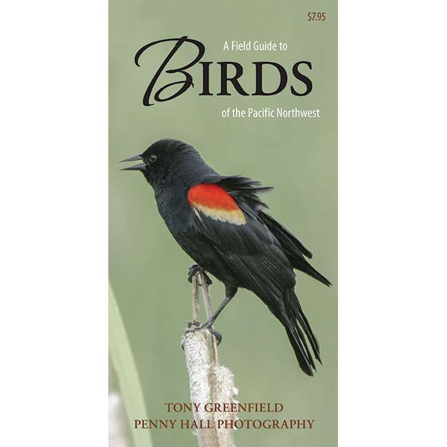 Paradise Clay HPC140 A Field Guide to Birds of the Pacific Northwest - Folding Pocket Guide