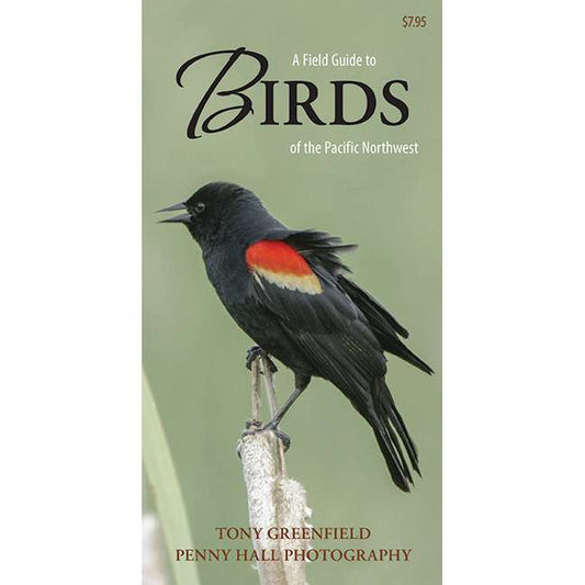 Paradise Clay HPC140 A Field Guide to Birds of the Pacific Northwest - Folding Pocket Guide