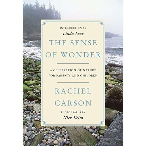 Paradise Clay HRW155 The Sense of Wonder: A Celebration of Nature for Parents and Children - Book
