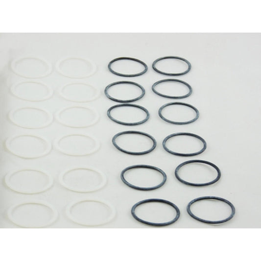 Emerson KG-10025 200RB 2-6 and 500RB Solenoid Valve Gasket Kit, 12 PTFE and 12 Neoprene O-Rings