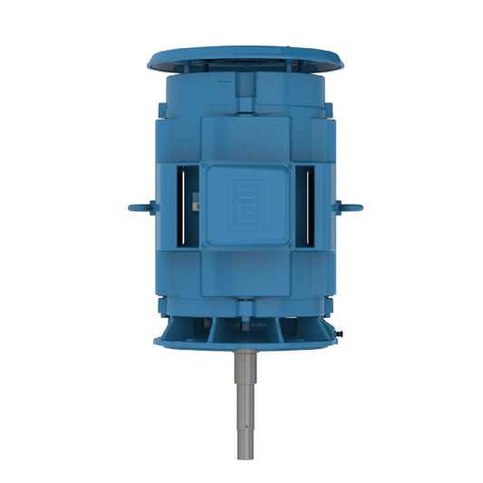 WEG 06036OT3E326JPV 60HP,3600RPM,326JP Frame,CCP-ODP-JP-FL-Vertical (1 EA)