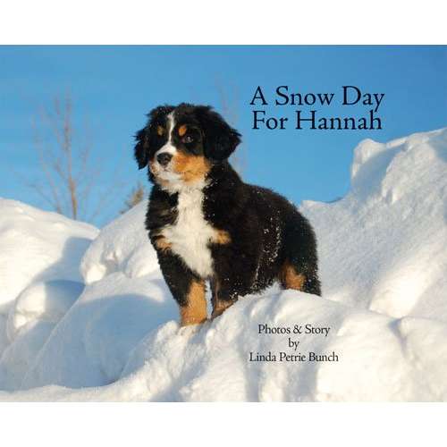Paradise Clay IPG082 A Snow Day for Hannah - Book