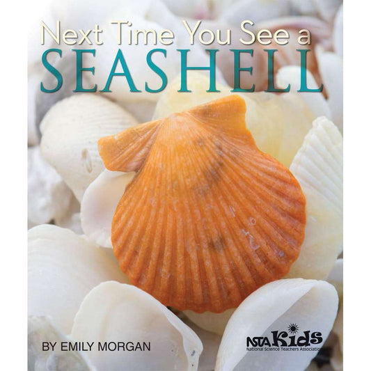 Paradise Clay IPG095 Next Time You See a Seashell - Book