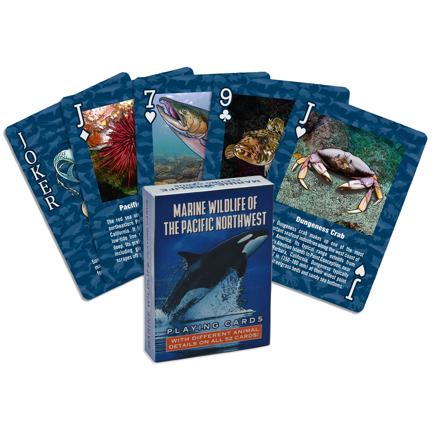Paradise Clay PAR850 Marine Wildlife of the Pacific Northwest - Playing Cards