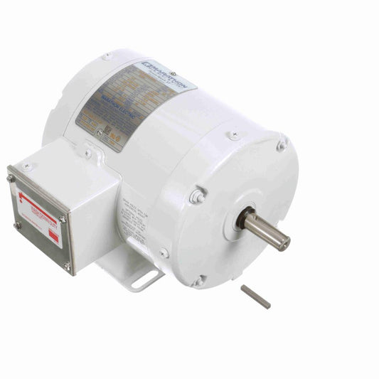 Marathon E286 White Epoxy Washdown Motors