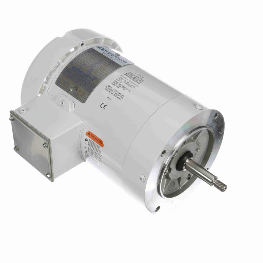 Marathon N234A White Epoxy Washdown Motor